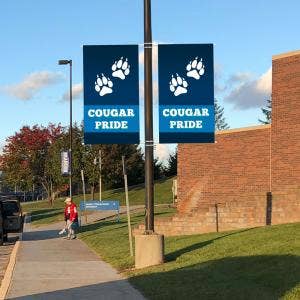 Logo Pole Banners