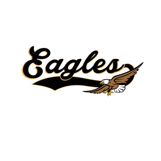 Style 3C - Eagles Example - Logo Design Library