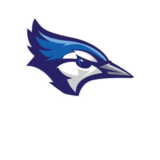 Blue Jay mascot - Logo Design Library