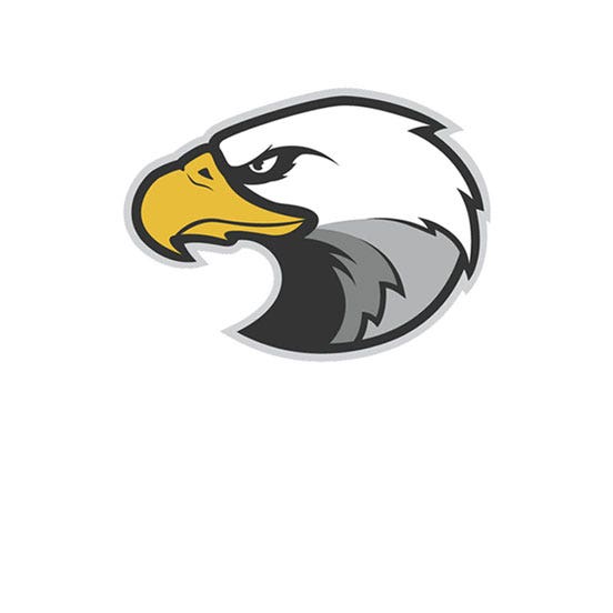 Eagle mascot - Logo Design Library