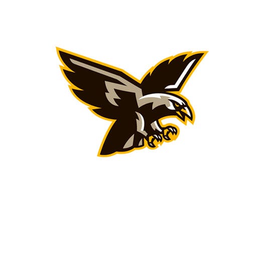 Falcon mascot - Logo Design Library