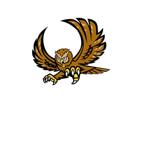 Owl mascot - Logo Design Library